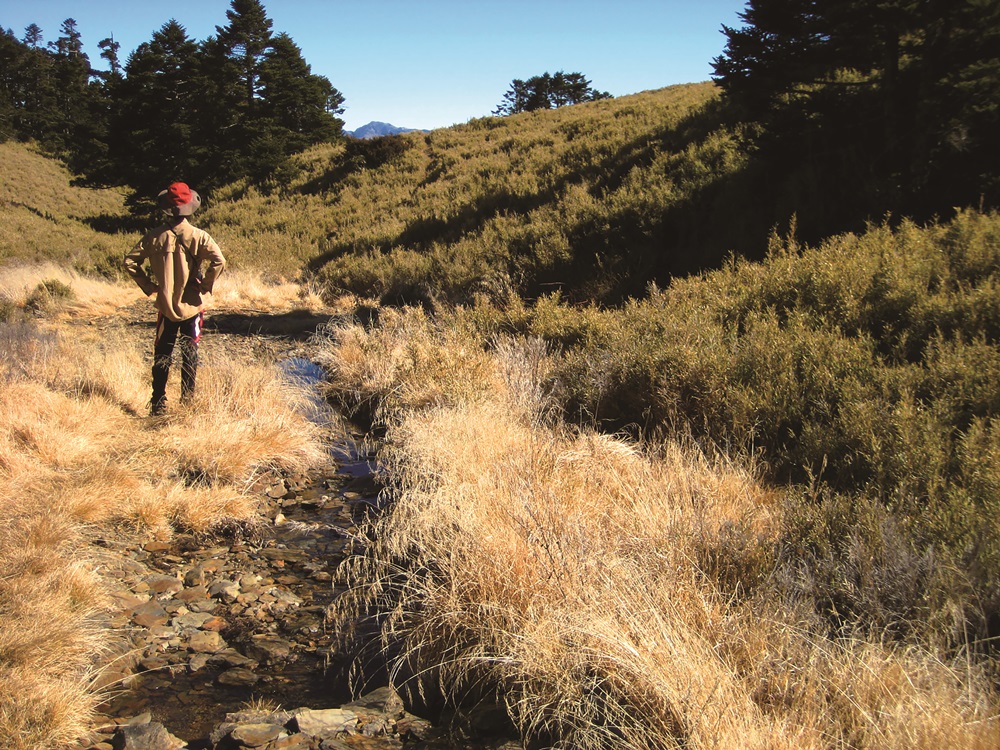 Gaze at the mountains and forests to soak in their beauty / Provided by Spence Ou