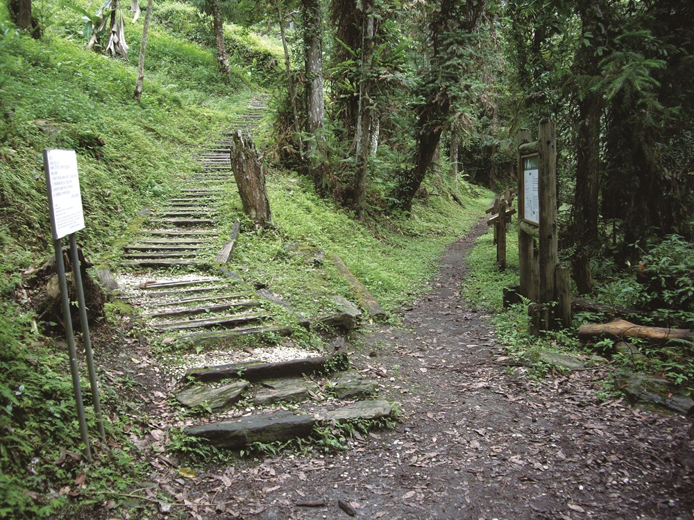 Simply follow the comprehensive indicators on most hiking trails / Provided by Spence Ou