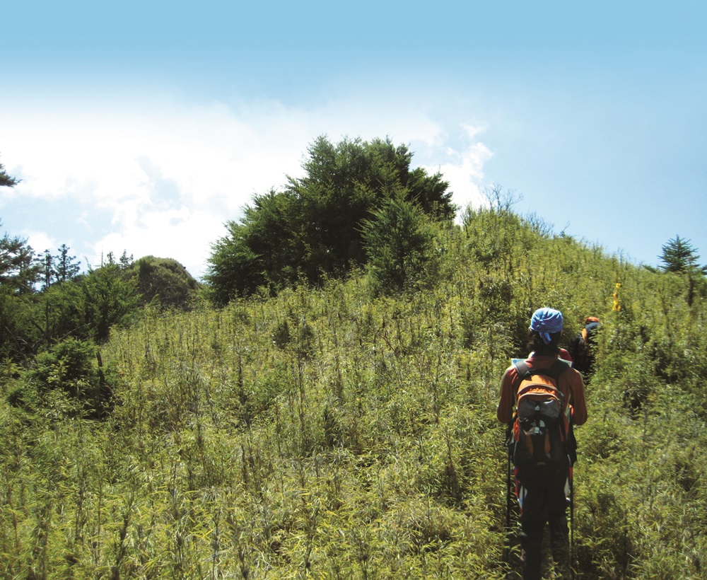 A responsible hiker means staying in existing trails whenever possible to avoid damage to nature / Provided by Spence Ou