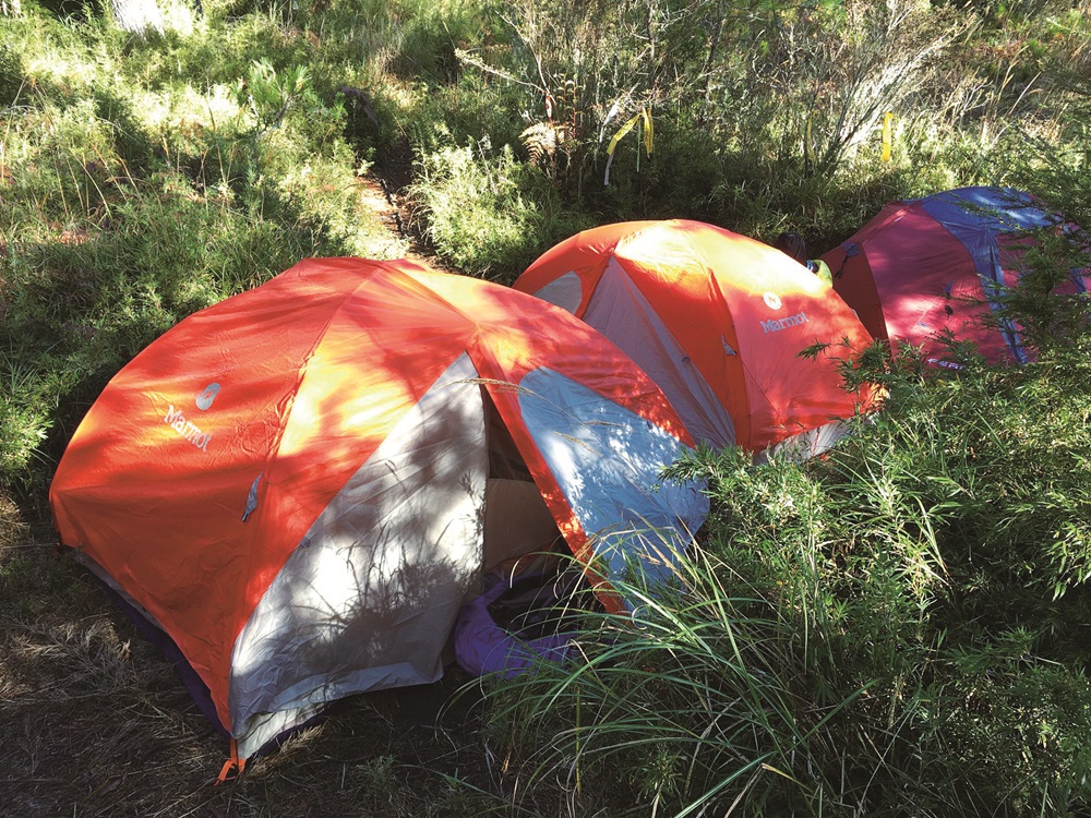Whenever possible, keep all food within tents when setting up tents / Photo by Hu Jing-Cheng