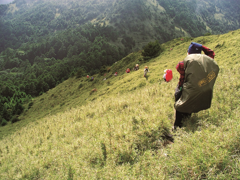 Learn from nature with humility to find a path to the mountains / Provided by Spence Ou