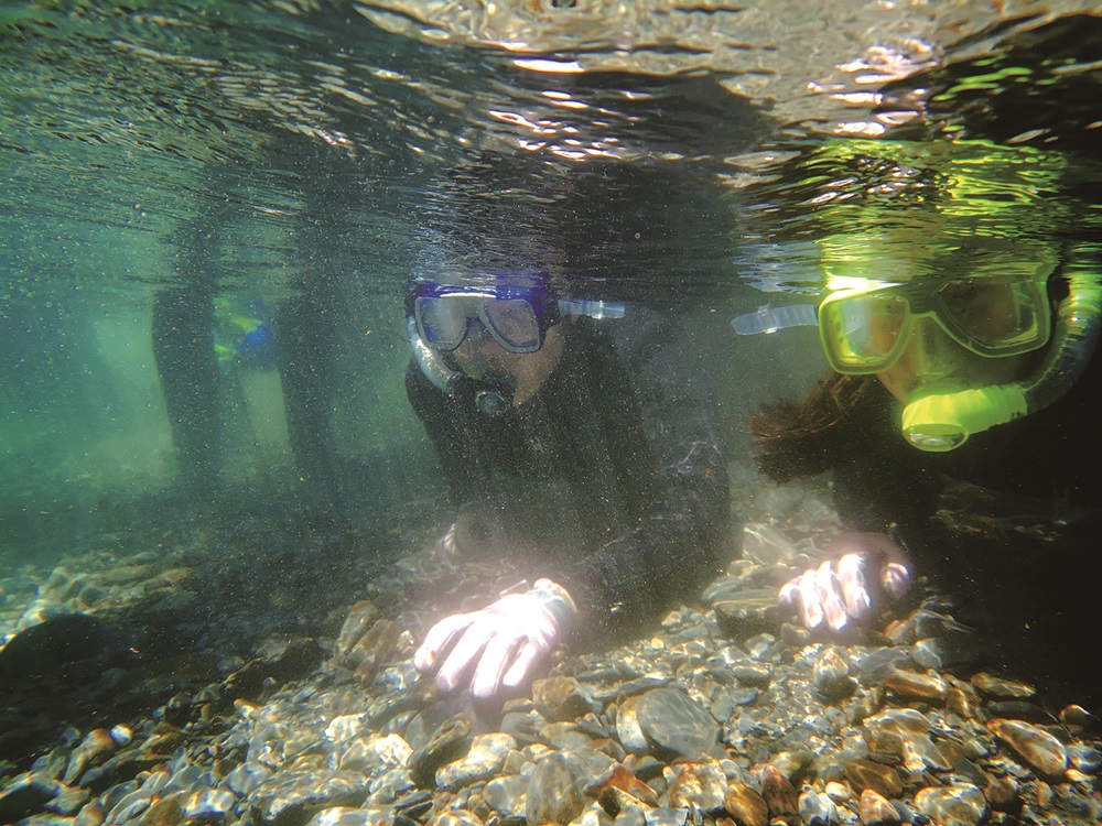 Diving in protective clothing against the cold to experience researcher’s hard work /Photos provided by Shei-Pa National Park Headquarters