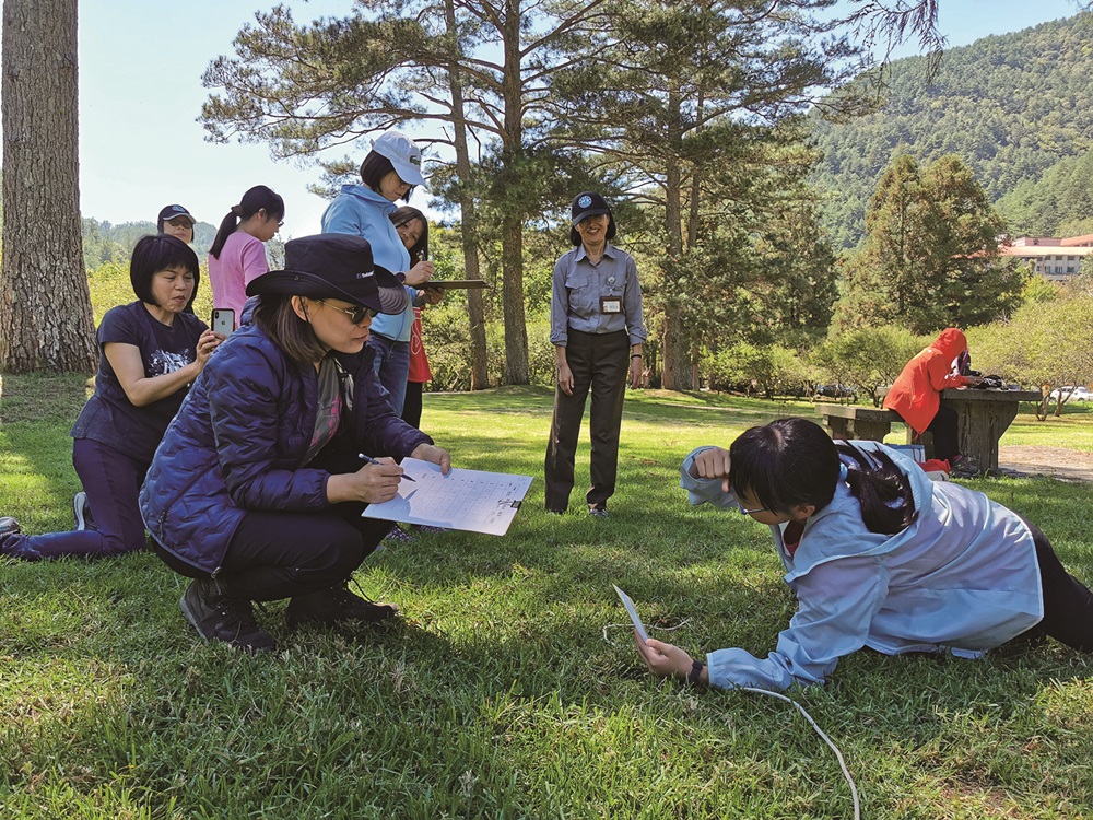 Tourists simulate fish counting on the grassy plains /Photos provided by Shei-Pa National Park Headquarters