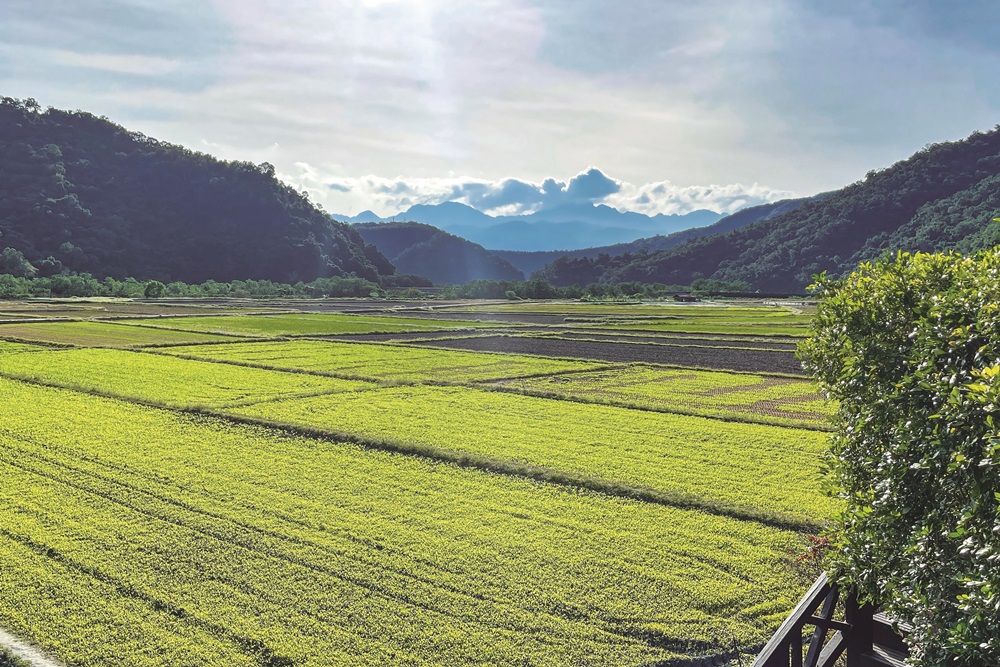 ｜不需要農藥與化肥，農作也能順利成長／旅行老施 攝