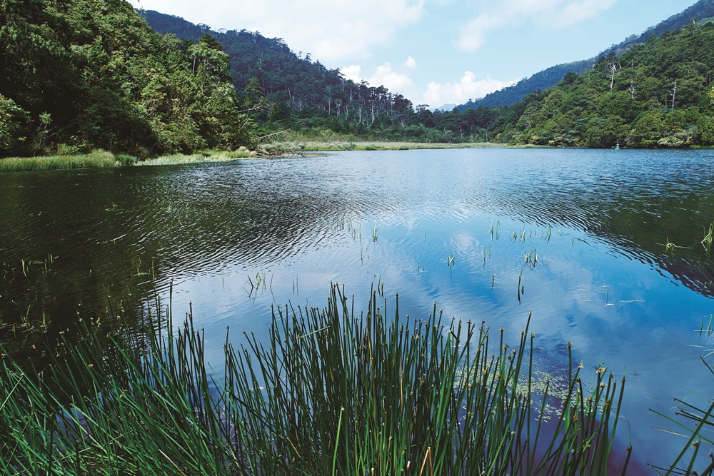 ｜湖水、天空、樹林構成了珍貴的絕景／張智銘 攝