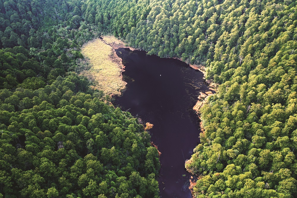 ｜遺世獨立的靜謐湖水，孕生出複雜、多樣的生態／陳應欽 攝