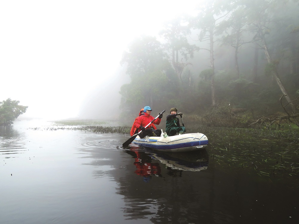｜政府單位的支持，使研究者更能專心研究／陳子英 提供