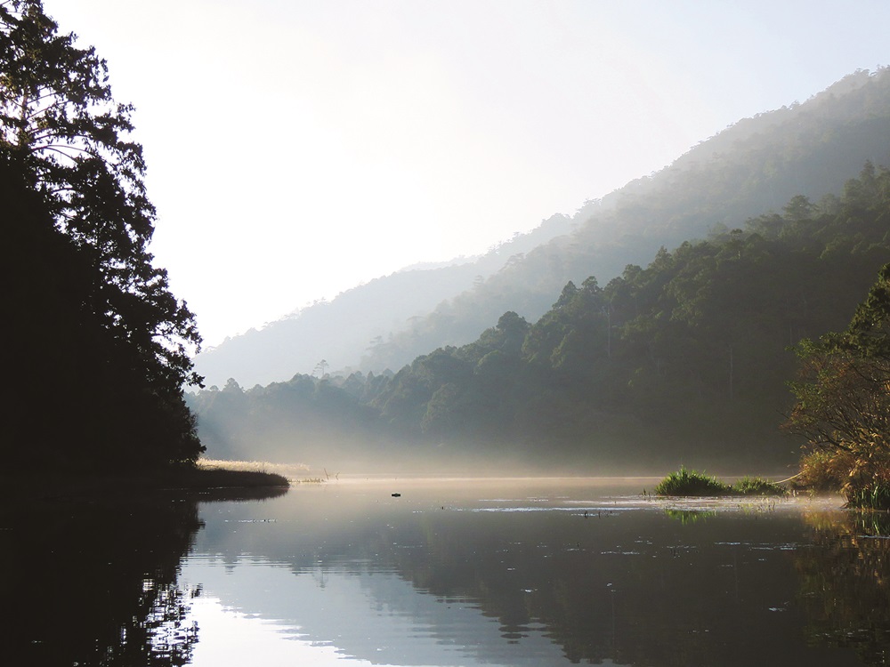 鴛鴦湖工作站｜陳子英 提供