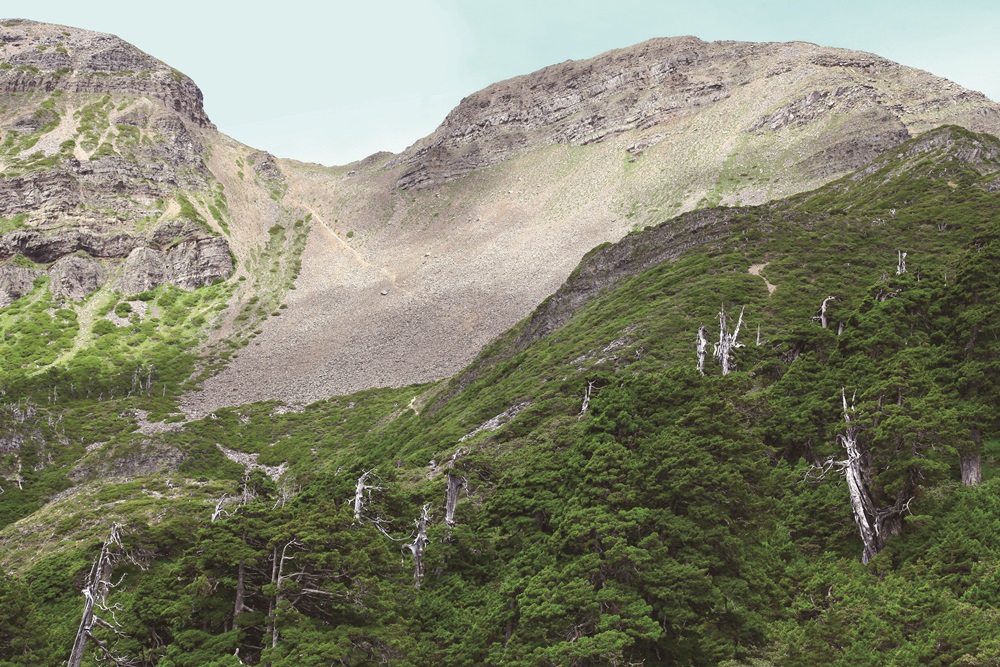 ｜雪山植被、地勢之美／陳應欽 攝