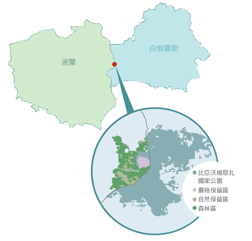 躲過人為開發與破壞的原始森林