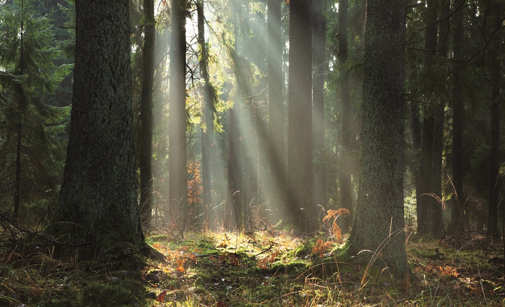 ｜人煙罕至的寧靜中，彷彿連時光都靜止