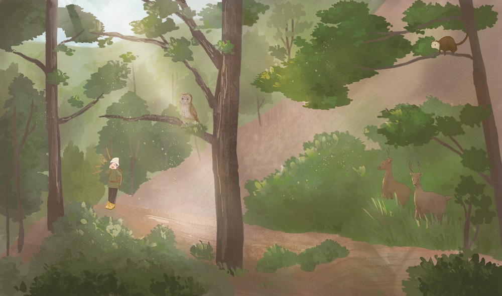 ｜在山的寂靜中，與許多野生動物相遇