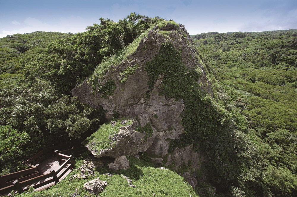 礁林尋幽—漫遊龜仔甪