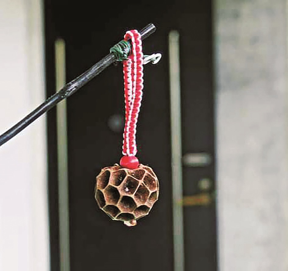 與天祥有約系列活動—(A)尋寶遊戲(B)種子吊飾DIY