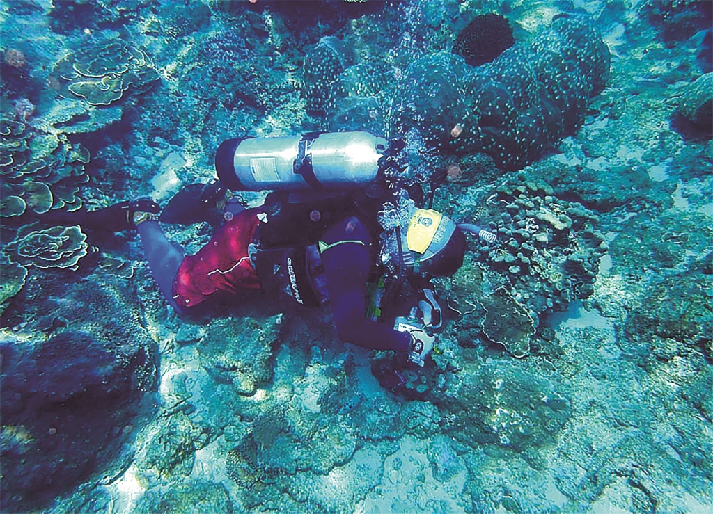 ｜海下設置溫度計／海管處 提供