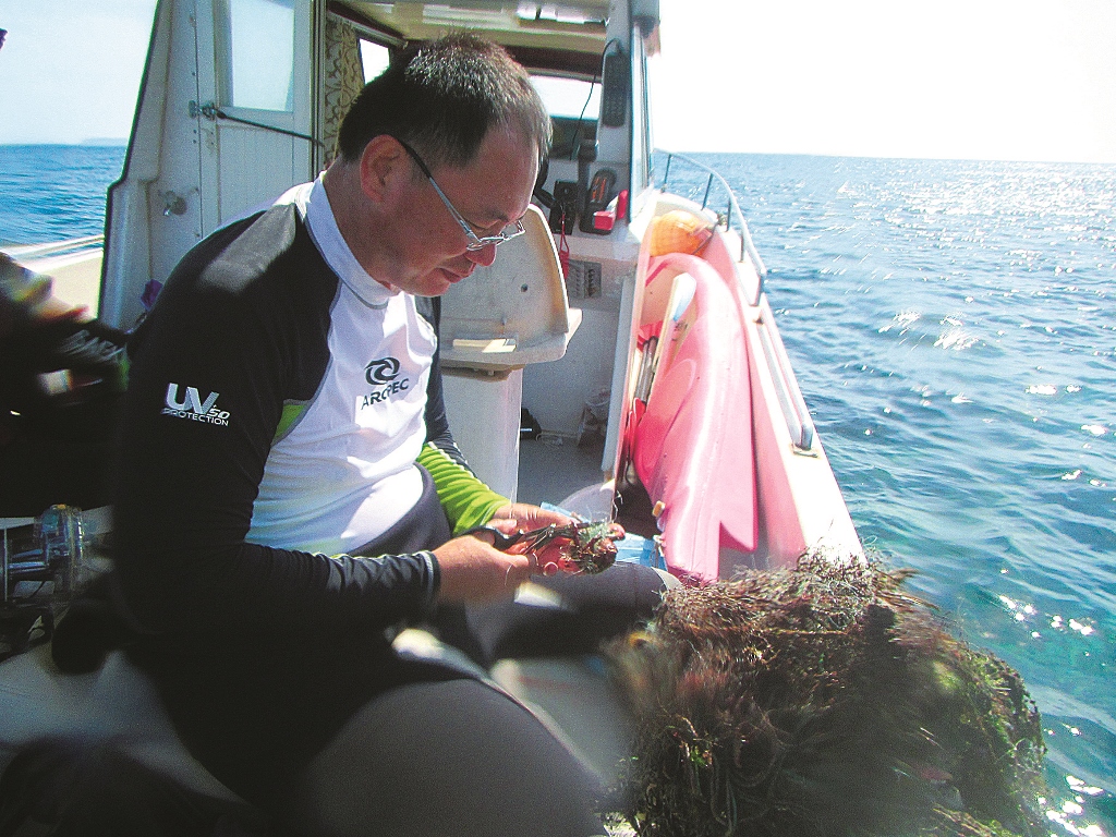 ｜珊瑚礁保育包含淨海相關工作／海管處 提供