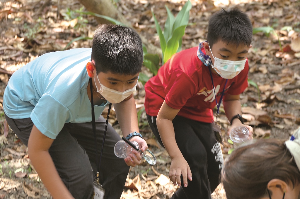 111 年暑期夏令營【都市森林童樂會】