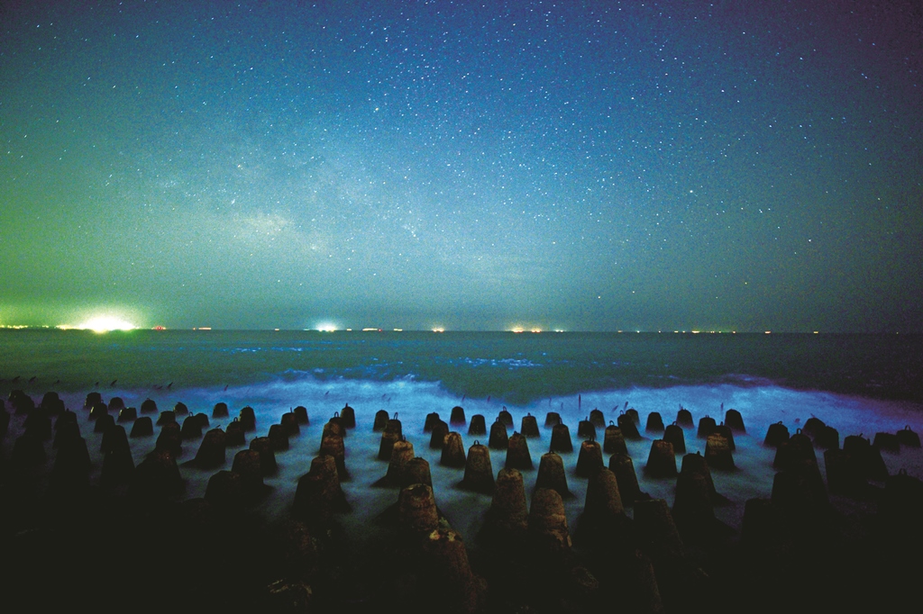 ｜發藍光的藻類「夜光蟲」聚集形成「藍眼淚」，是金門遠近馳名的美景／許進西 攝