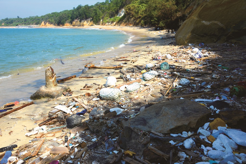 大陸來的大量海漂垃圾嚴重破壞金門的海岸環境／洪清漳 攝
