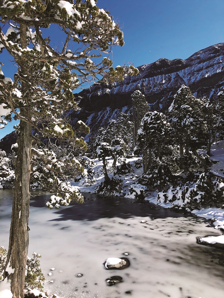 翠池與沾染落雪的樹木／吳俊德 攝