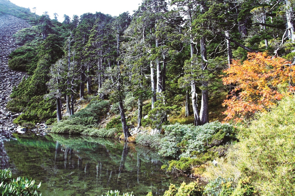 ｜澄澈見底的雪山翠池／郭鳳嬌 攝