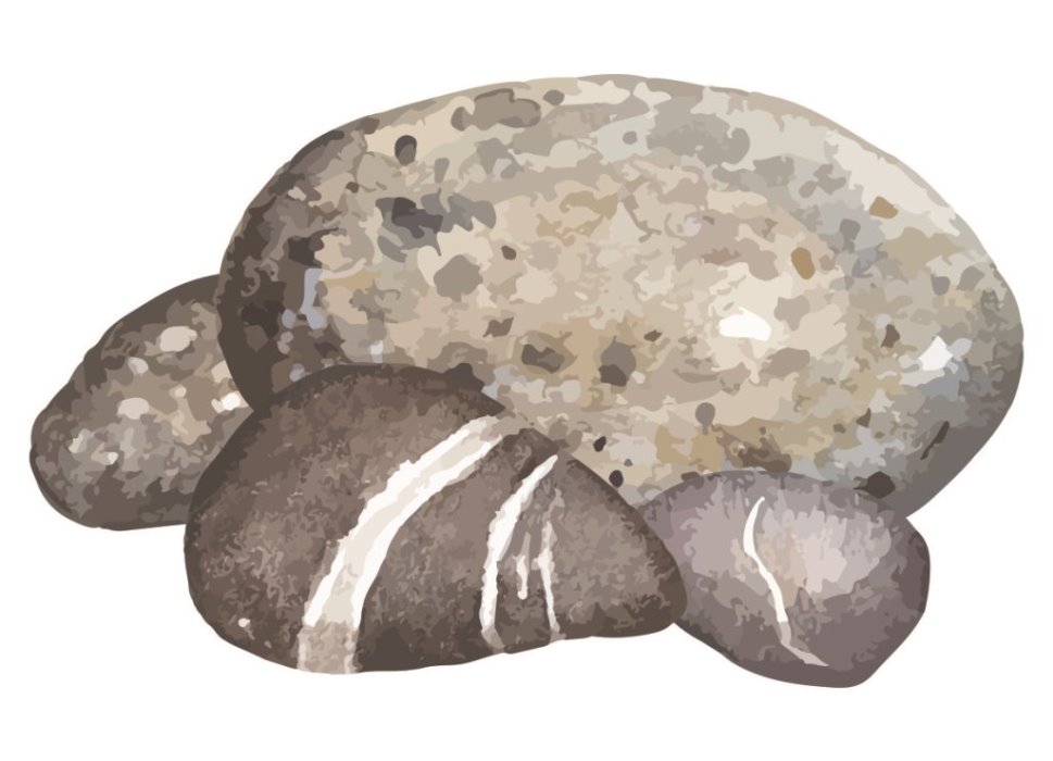 「種」到底是什麼？