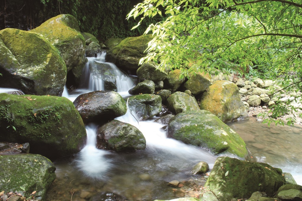 ｜老梅溪河段裡的湍流地形／莊淑斐 攝
