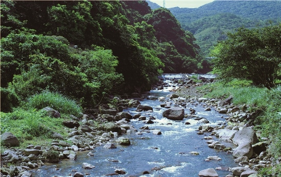 ｜員潭溪下游的平緩河道／陳義雄 提供
