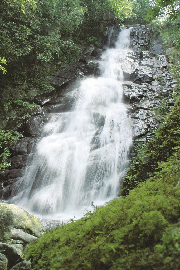 ｜陽明山各河系因為避免了污染，得以孕育更多生物／莊淑斐 攝
