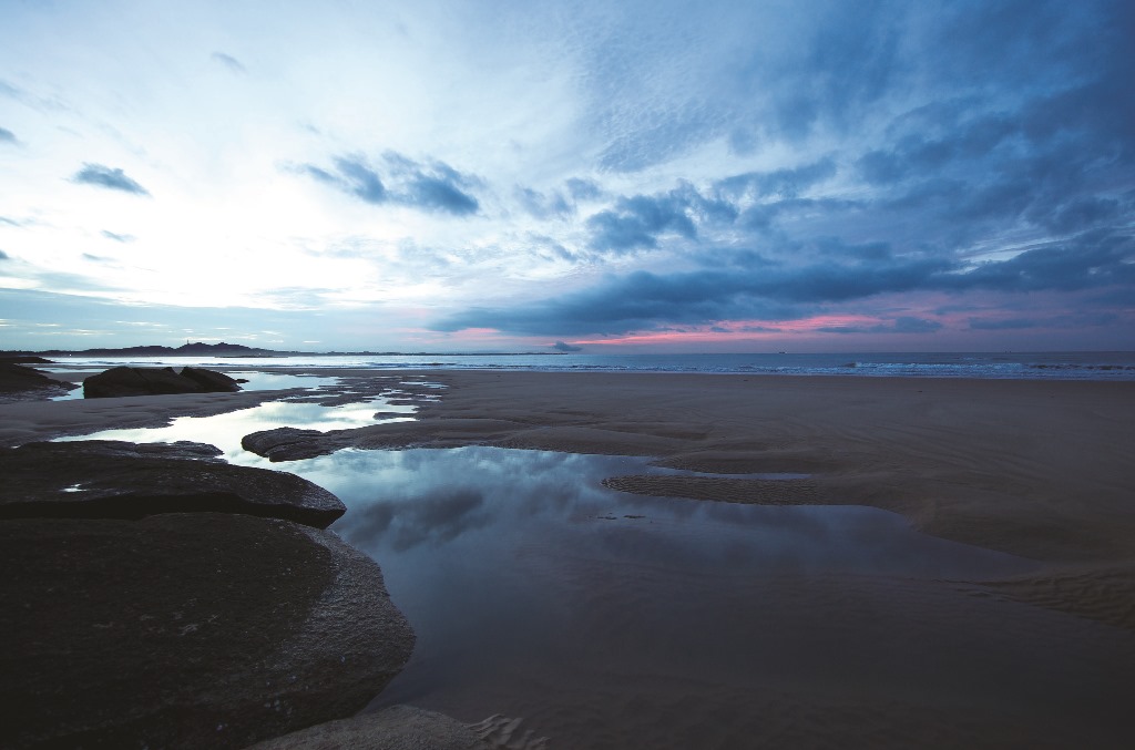 ｜退潮後的金門潮間帶棲地，等待著我們前往探索／廖東坤 攝
