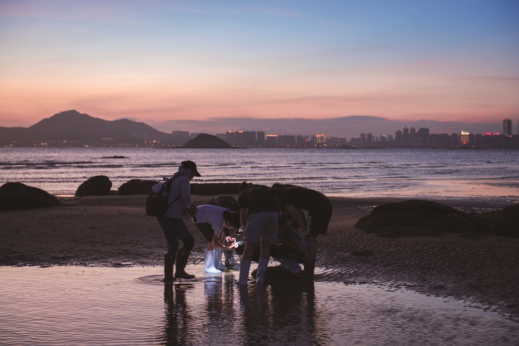 ｜傍晚時分於潮間帶觀察生物／金管處 提供
