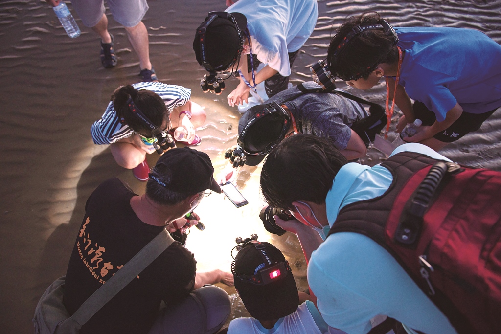 ｜潮間帶觀察／金管處 提供