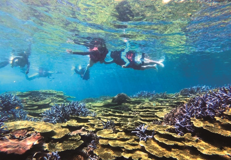 ｜澎湖南方四島國家公園的遊憩活動以浮潛、潛水為主，但須有完整配備及專業教練陪同／珊瑚礁遊艇公司 提供
