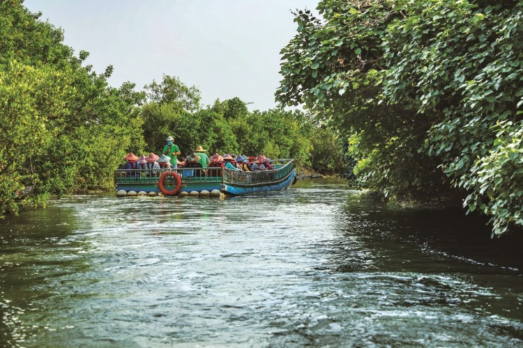 ｜四草綠色隧道的觀光膠筏／旅行老施 攝
