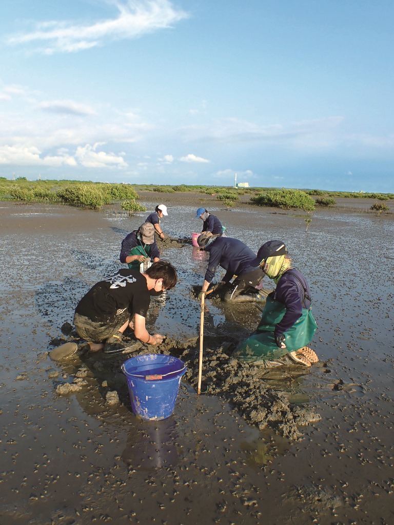 ｜透過採樣環文蛤數量調查灘地底質／邱郁文 攝