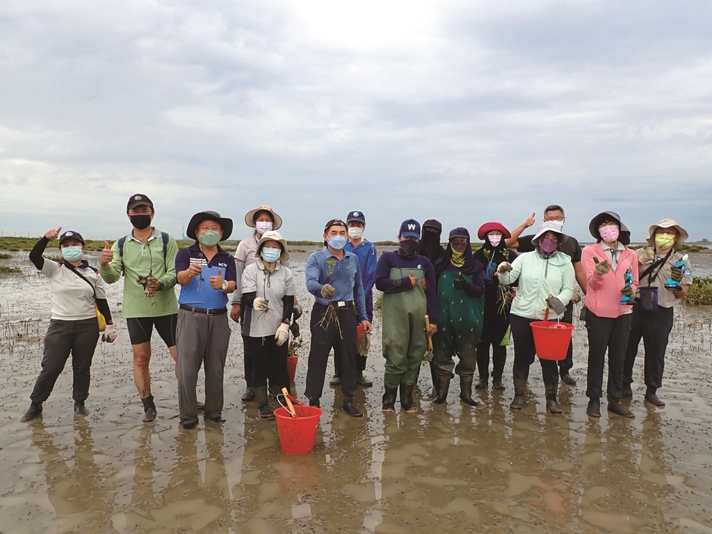 ｜邀請民眾參與紅樹林幼苗抑制課程，控制植群面積擴大／台管處 提供
