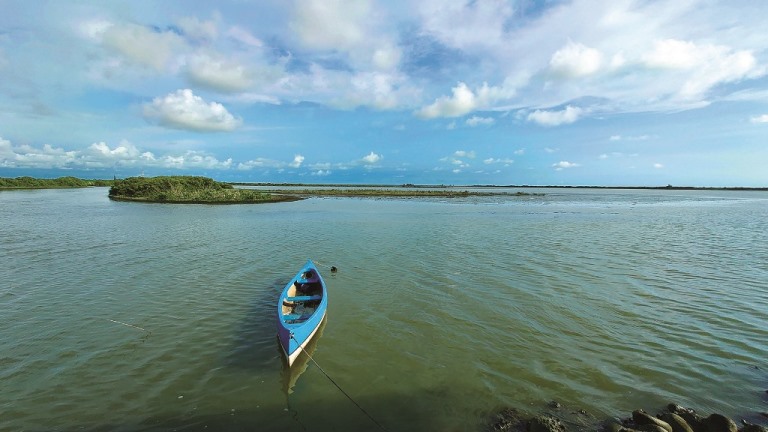 ｜紅樹林伐除後的寬闊水道／邱郁文 攝

