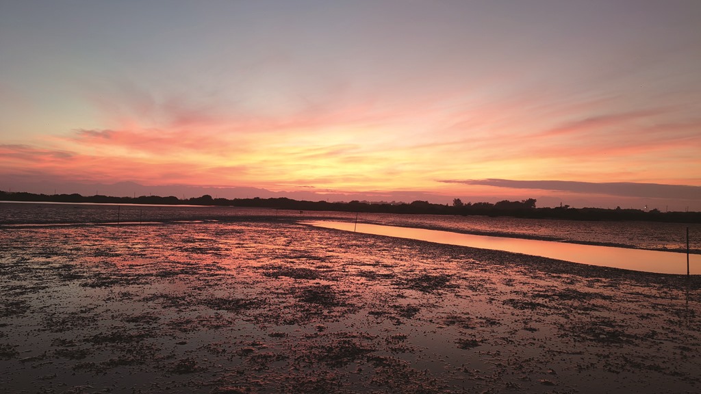 ｜日出朝陽下灘地上的潮溝／邱郁文 攝
