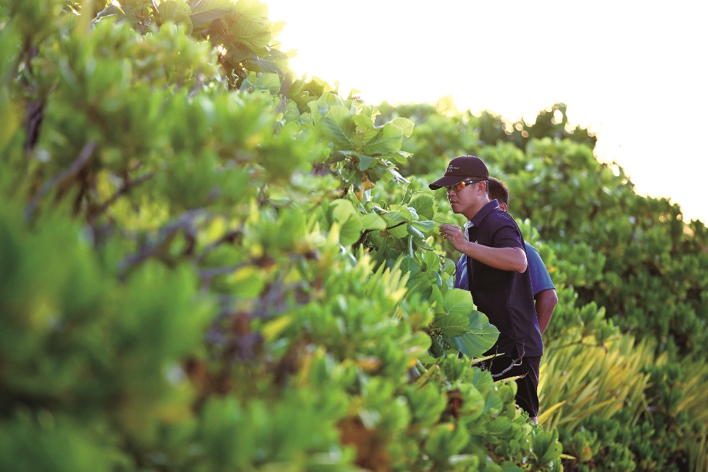 ｜在東沙環礁國家公園進行物種觀測／吳明翰 攝
