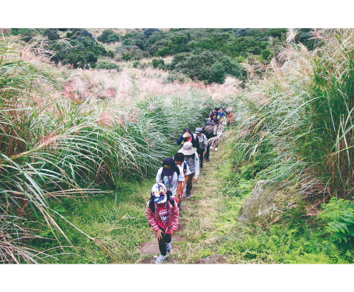古道秋芒之旅