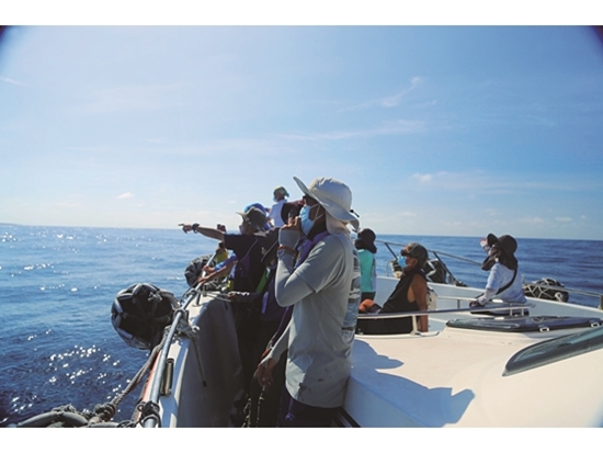 ｜解說員向導覽參加者介紹澎湖南方四島的方位／墾管處 提供