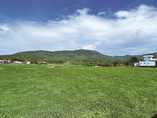 ｜豬朥脨山／陳忠能 攝