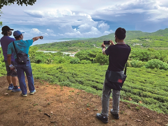 ｜古道可遠眺茶園、吊橋與海岸風光／陳忠能 攝
