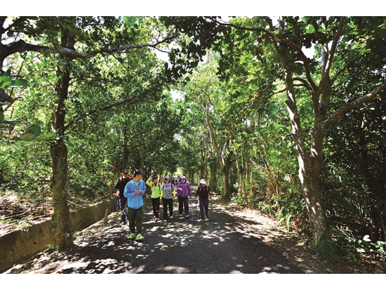 ｜漫步恬靜優美的林蔭大道／陳忠能 攝