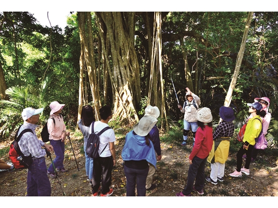 ｜社區解說員帶領滿茶古道導覽，與墾管處、林試所協作生態旅遊新模式／墾管處 提供