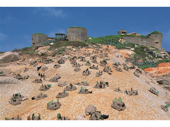 設置於沿岸的玻璃刀山，形成獨特的軍事阻絕設施景觀