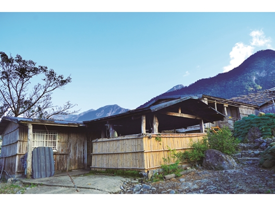 太魯閣族人就地取材搭建的竹屋／林茂耀 攝