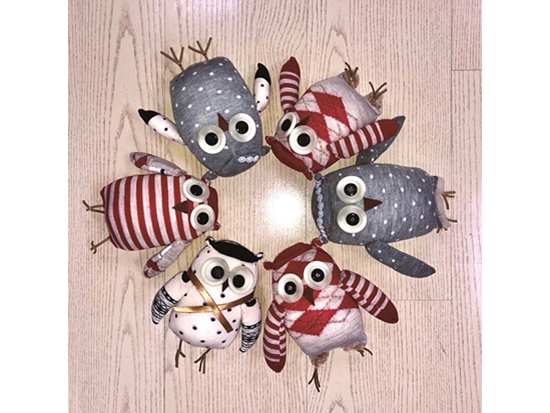 志工自製貓頭鷹布偶，模擬貓頭鷹受傷的安置情境／玉管處 提供