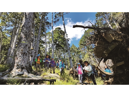 環境教育不僅讓親子師生共學，也是人與自然的對話／蔡芷芳 攝