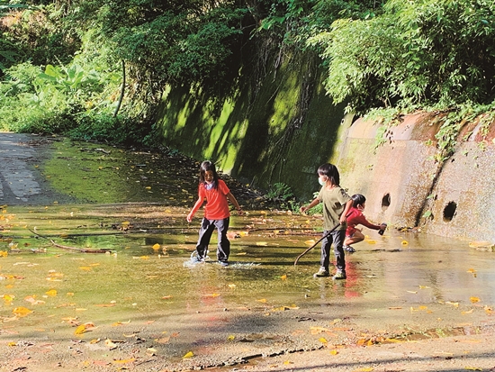 將身體投入環境中，用五感向自然學習／蔡芷芳 攝